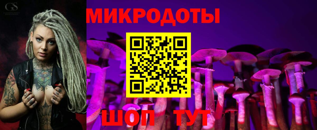 где купить наркоту  Вход с VPN  Киселёвск  Псилоцибиновые грибы Cubensis 